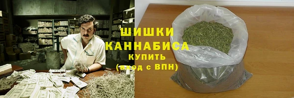 mdpv Богданович