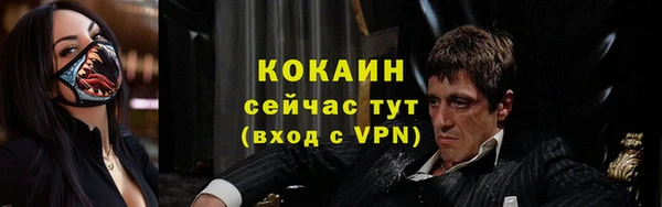 молекула духа Богородск