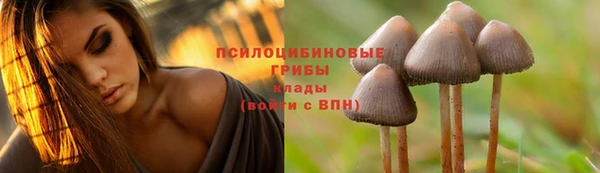 mdpv Богданович
