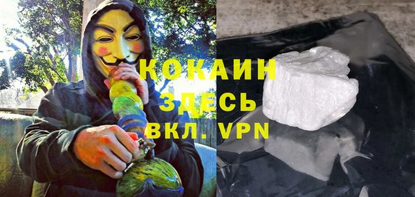 молекула духа Богородск