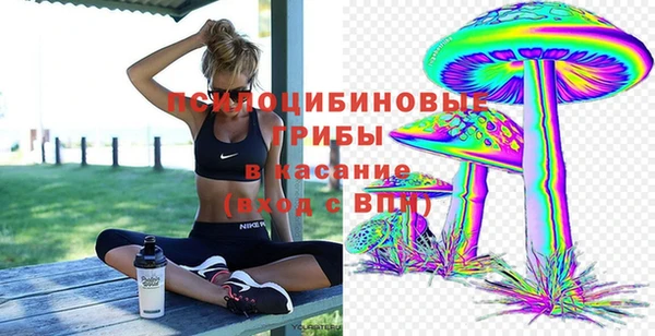mdpv Богданович