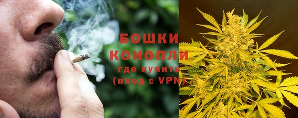 mdpv Богданович