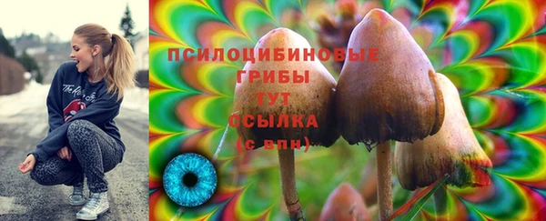 mdpv Богданович