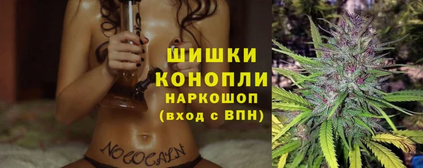 молекула духа Богородск