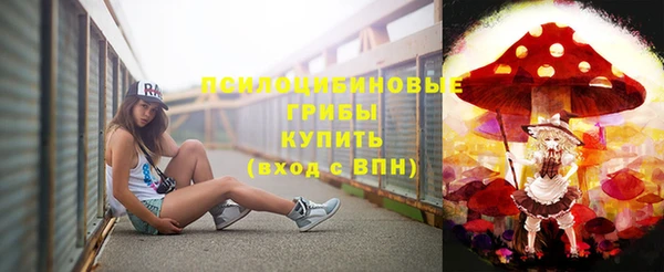 mdpv Богданович